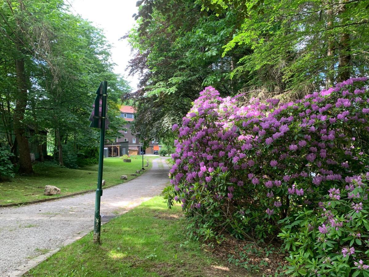 Haus Am Kurpark Lägenhet Clausthal-Zellerfeld Exteriör bild