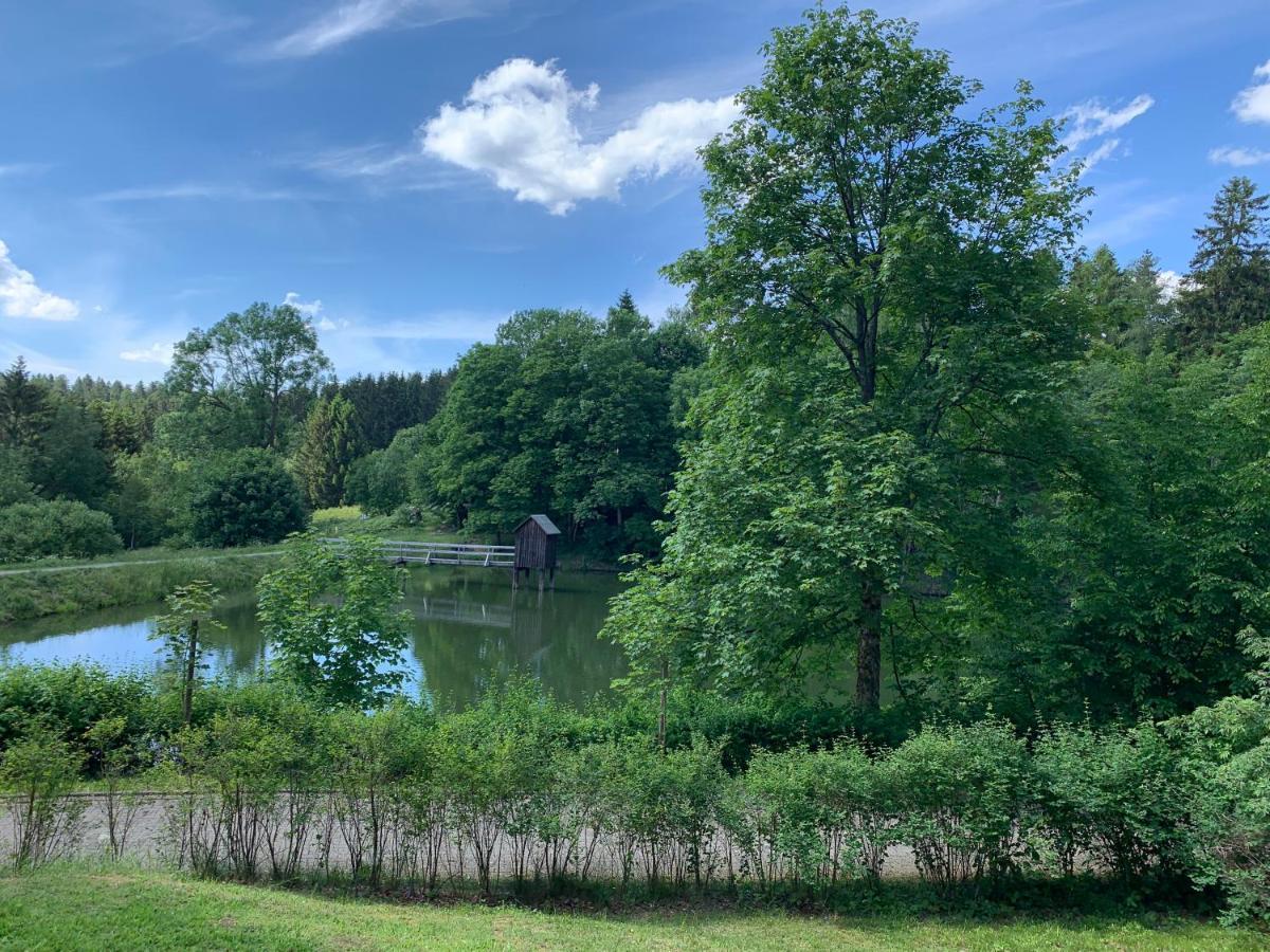 Haus Am Kurpark Lägenhet Clausthal-Zellerfeld Exteriör bild