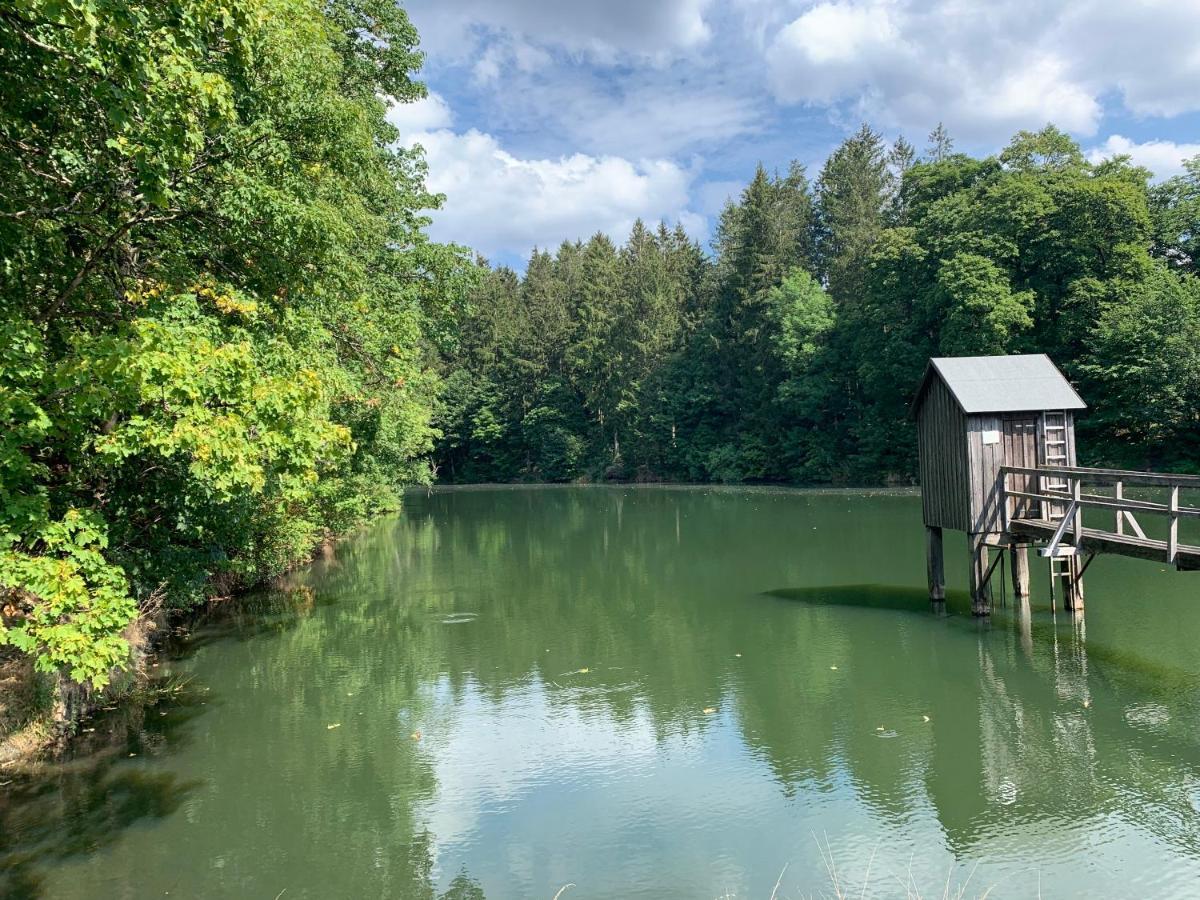 Haus Am Kurpark Lägenhet Clausthal-Zellerfeld Exteriör bild